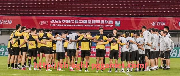 pg电子在线下载-德甲球队平均工资情况分析:各队差异有多大?