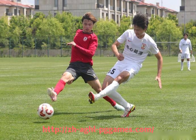 pg电子在线下载-德甲近期引进波黑国脚的球队及球员表现回顾