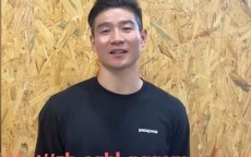 pg电子在线下载-德甲近期引进波黑国脚的球队及球员表现回顾