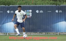 pg电子在线下载-德甲球队年度收入与支出报告对比